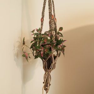 Plant Hanger